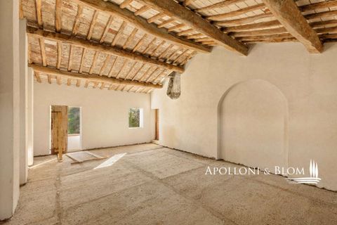 Landejendom i Empoli, Florence, Empoli - € 6.800.000 | Ref: FIR3767-1365445 - foto 42