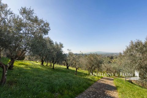 Landejendom i Empoli, Florence, Empoli - € 6.800.000 | Ref: FIR3767-1365445 - foto 45