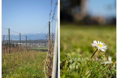 Landejendom i Empoli, Florence, Empoli - € 6.800.000 | Ref: FIR3767-1365445 - foto 46
