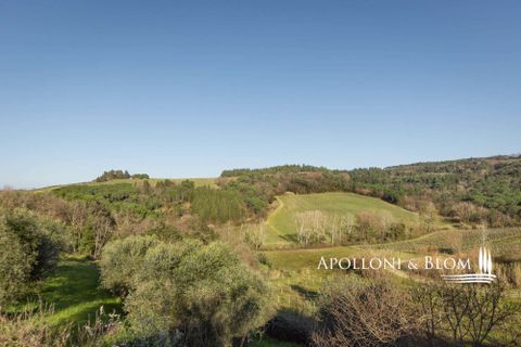 Landejendom i Empoli, Florence, Empoli - € 6.800.000 | Ref: FIR3767-1365445 - foto 47