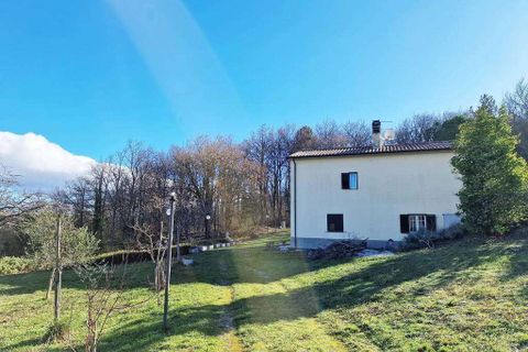 Villa a Anghiari, Arezzo, Anghiari - € 470.000 | Ref: R04995ANRU-1366396 - foto 8