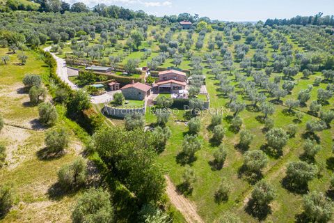 Farm hus i Scansano, Grosseto, Scansano - € 750.000 | Ref: LC47-1366865 - foto 1