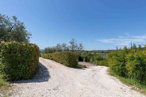 Farm hus i Scansano, Grosseto, Scansano - € 750.000 | Ref: LC47-1366865 - foto 5