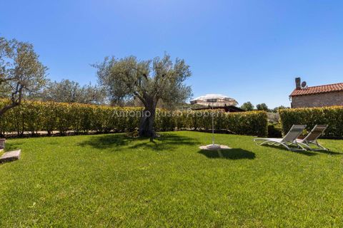 Farm hus i Scansano, Grosseto, Scansano - € 750.000 | Ref: LC47-1366865 - foto 7