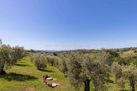 Farm hus i Scansano, Grosseto, Scansano - € 750.000 | Ref: LC47-1366865 - foto 8