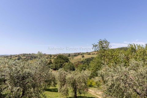 Farm hus i Scansano, Grosseto, Scansano - € 750.000 | Ref: LC47-1366865 - foto 9