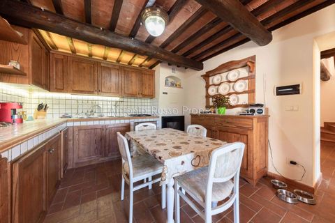 Farm hus i Scansano, Grosseto, Scansano - € 750.000 | Ref: LC47-1366865 - foto 17