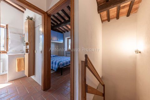 Farm hus i Scansano, Grosseto, Scansano - € 750.000 | Ref: LC47-1366865 - foto 26