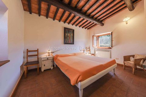 Farm hus i Scansano, Grosseto, Scansano - € 750.000 | Ref: LC47-1366865 - foto 28