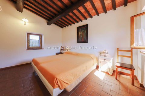 Farm hus i Scansano, Grosseto, Scansano - € 750.000 | Ref: LC47-1366865 - foto 29
