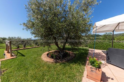Farm hus i Scansano, Grosseto, Scansano - € 750.000 | Ref: LC47-1366865 - foto 35