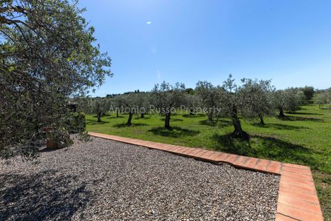 Farm hus i Scansano, Grosseto, Scansano - € 750.000 | Ref: LC47-1366865 - foto 36