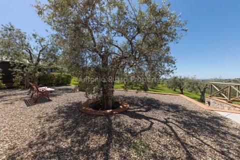 Farm hus i Scansano, Grosseto, Scansano - € 750.000 | Ref: LC47-1366865 - foto 37