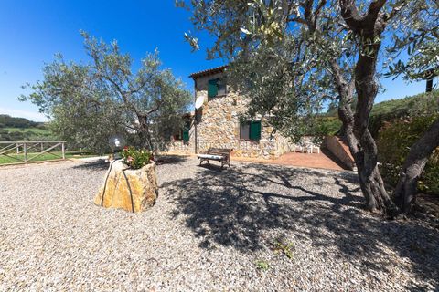 Farm hus i Scansano, Grosseto, Scansano - € 750.000 | Ref: LC47-1366865 - foto 38
