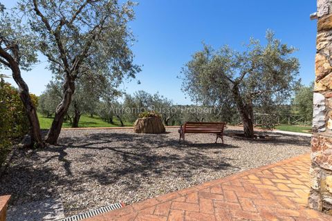 Farm hus i Scansano, Grosseto, Scansano - € 750.000 | Ref: LC47-1366865 - foto 40