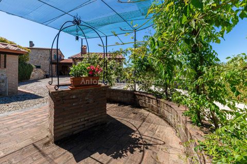 Farm hus i Scansano, Grosseto, Scansano - € 750.000 | Ref: LC47-1366865 - foto 43