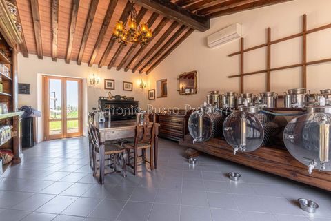 Farm hus i Scansano, Grosseto, Scansano - € 750.000 | Ref: LC47-1366865 - foto 47