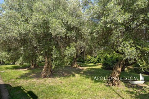 Byhus i Montegabbione, Terni, Montegabbione - € 550.000 | Ref: MNG3681-1367590 - foto 30