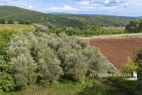 Byhus i Montegabbione, Terni, Montegabbione - € 550.000 | Ref: MNG3681-1367590 - foto 31