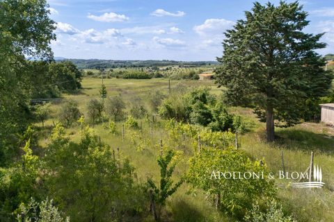 Byhus i Montegabbione, Terni, Montegabbione - € 550.000 | Ref: MNG3681-1367590 - foto 33