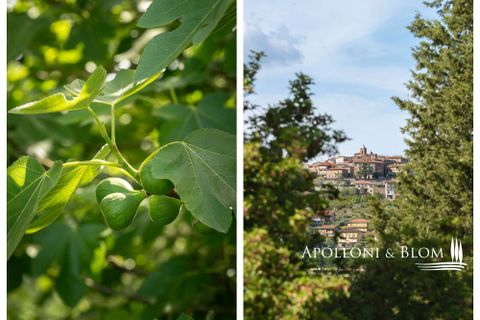 Byhus i Montegabbione, Terni, Montegabbione - € 550.000 | Ref: MNG3681-1367590 - foto 34