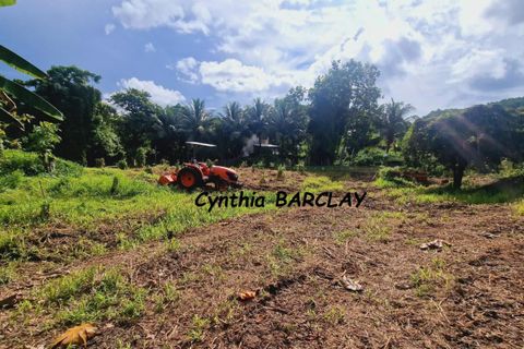 Terra a Dikos, Martinique, Dikos - € 248.400 | Ref: 3011444373 - foto 2