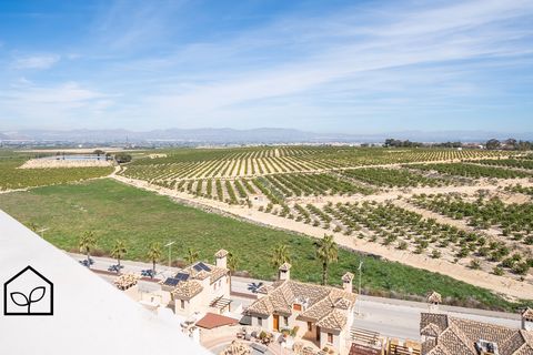 Rækkehus i Algorfa, Alicante, Algorfa - € 473.000 | Ref: 0031BSE169 - foto 37