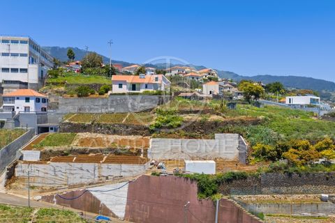 Terra a Ponta do Sol, Madeira, Ponta do Sol - € 395.000 | Ref: TER_16 - foto 4