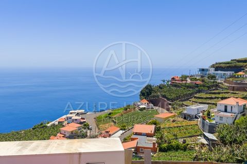 Terra a Ponta do Sol, Madeira, Ponta do Sol - € 395.000 | Ref: TER_16 - foto 9