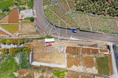 Terra a Ponta do Sol, Madeira, Ponta do Sol - € 395.000 | Ref: TER_16 - foto 11