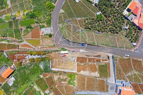 Terra a Ponta do Sol, Madeira, Ponta do Sol - € 395.000 | Ref: TER_16 - foto 12