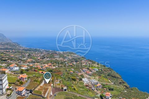 Terra a Ponta do Sol, Madeira, Ponta do Sol - € 395.000 | Ref: TER_16 - foto 13