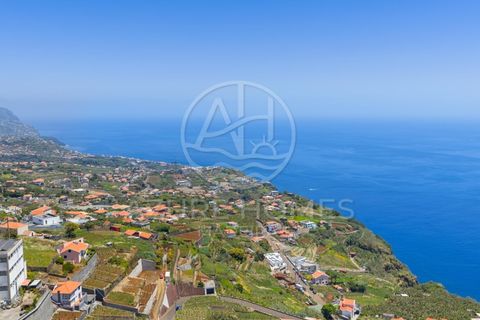Terra a Ponta do Sol, Madeira, Ponta do Sol - € 395.000 | Ref: TER_16 - foto 14