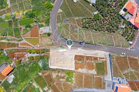 Terra a Ponta do Sol, Madeira, Ponta do Sol - € 395.000 | Ref: TER_16 - foto 15