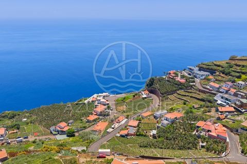Terra a Ponta do Sol, Madeira, Ponta do Sol - € 395.000 | Ref: TER_16 - foto 16