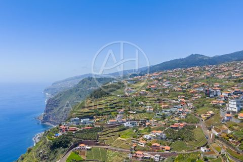 Terra a Ponta do Sol, Madeira, Ponta do Sol - € 395.000 | Ref: TER_16 - foto 17