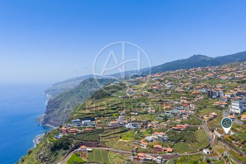 Terra a Ponta do Sol, Madeira, Ponta do Sol - € 395.000 | Ref: TER_16 - foto 18