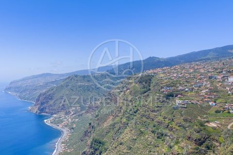 Terra a Ponta do Sol, Madeira, Ponta do Sol - € 395.000 | Ref: TER_16 - foto 19