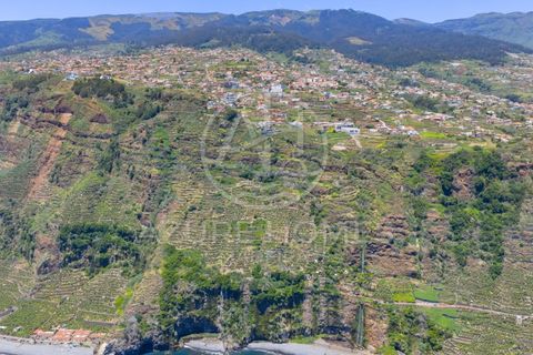 Terra a Ponta do Sol, Madeira, Ponta do Sol - € 395.000 | Ref: TER_16 - foto 21