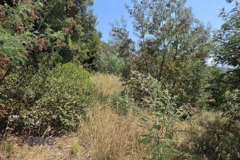 Finca i Calonge, Gerona, Calonge - € 165.000 | Ref: 3579 - foto 12