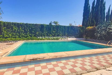 Villa a Novelda, Alicante, Novelda - € 280.000 | Ref: CH-95726 - foto 6