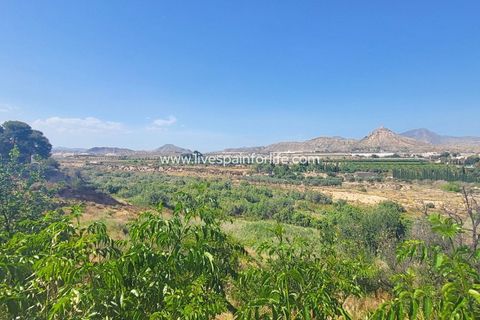 Villa a Novelda, Alicante, Novelda - € 280.000 | Ref: CH-95726 - foto 7