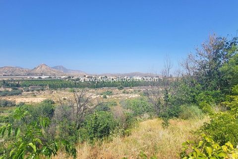 Villa a Novelda, Alicante, Novelda - € 280.000 | Ref: CH-95726 - foto 8