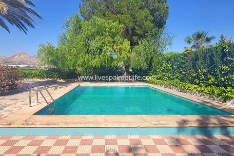 Villa a Novelda, Alicante, Novelda - € 280.000 | Ref: CH-95726 - foto 10