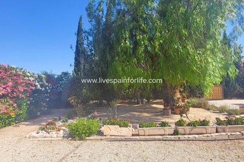 Villa a Novelda, Alicante, Novelda - € 280.000 | Ref: CH-95726 - foto 11