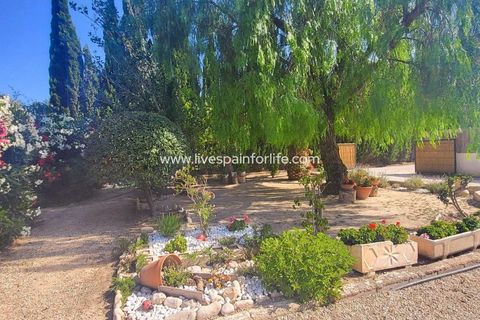 Villa a Novelda, Alicante, Novelda - € 280.000 | Ref: CH-95726 - foto 12