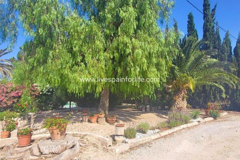 Villa a Novelda, Alicante, Novelda - € 280.000 | Ref: CH-95726 - foto 18
