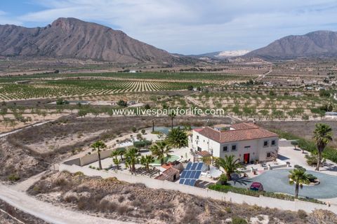Landejendom i Barbarroja, Alicante, Barbarroja - € 534.995 | Ref: Barba JNSAli - foto 12