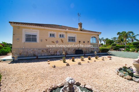 Landejendom i Catral, Alicante, Catral - € 379.995 | Ref: Cat MMTC-D - foto 31