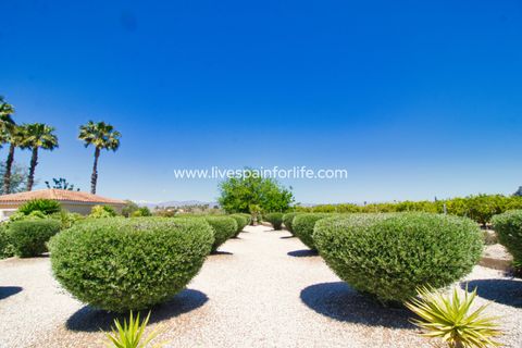 Landejendom i Catral, Alicante, Catral - € 379.995 | Ref: Cat MMTC-D - foto 36